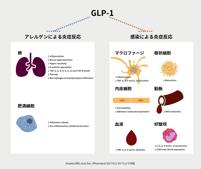 GLP-1＠第38話 コロナ禍をチャンスにする糖尿病診療　野見山崇