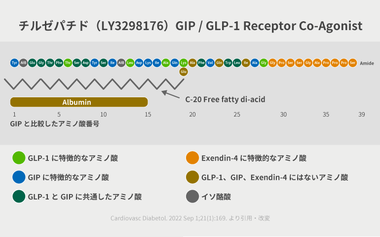 チルゼパチド（LY3298176）GIP / GLP-1 Receptor Co-Agoist＠糖キング第44話 糖尿病治療はデュアルの時代　野見山崇